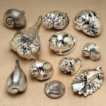 indulgy sea shells spraypaint