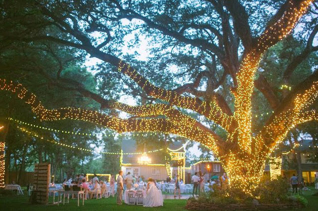 lighted tree weddingfor1000.com